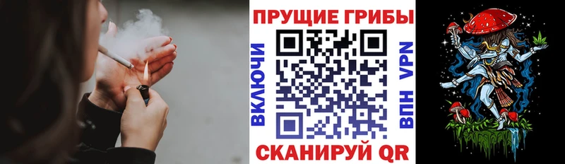 Псилоцибиновые грибы мухоморы  Купить где  Комсомольск-на-Амуре 